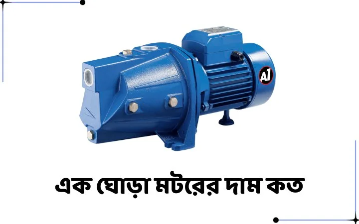 এক ঘোড়া মটরের দাম কত