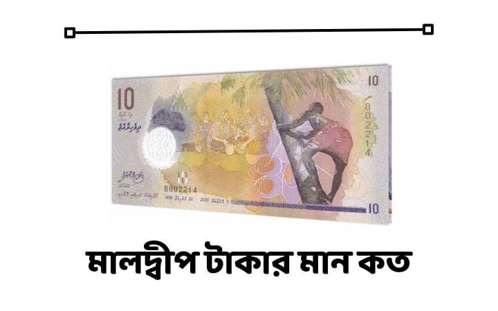 মালদ্বীপ টাকার মান কত