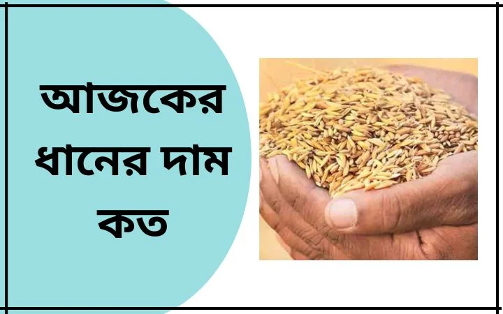 আজকের ধানের দাম কত
