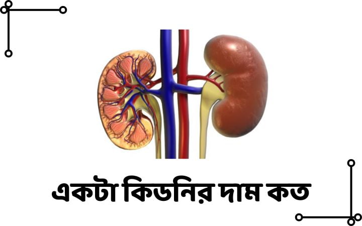 একটা কিডনির দাম কত