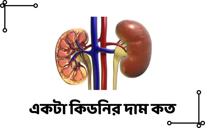 একটা কিডনির দাম কত