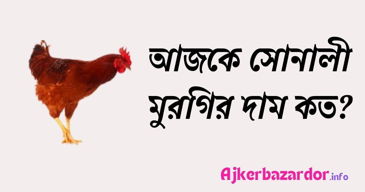 সোনালী মুরগির আজকের বাজার দর ২০২৪