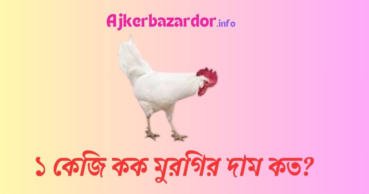 আজকের কক মুরগির দাম ২০২৪