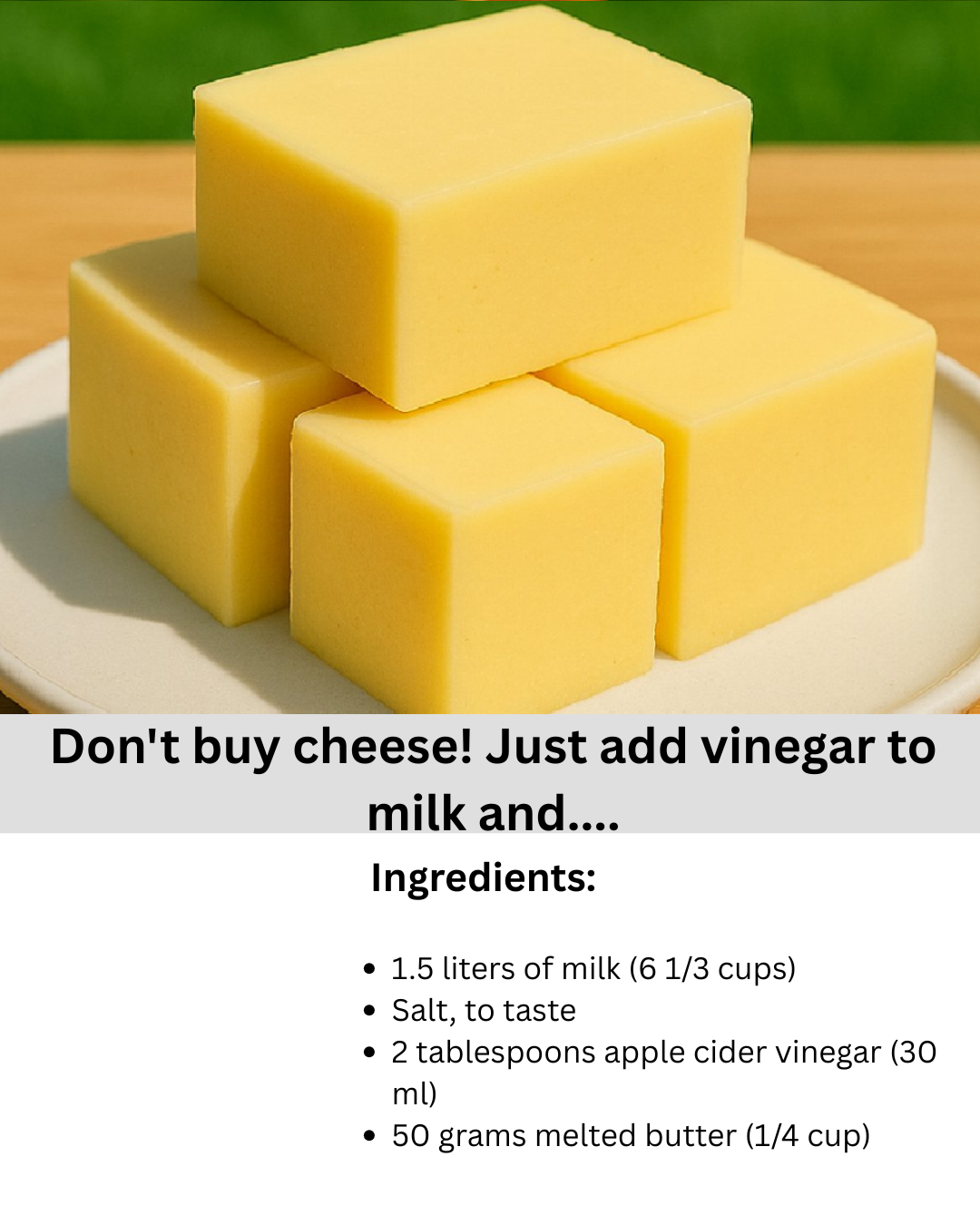 Homemade Vinegar Cheese Recipe
